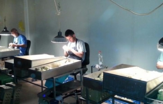 Türkiye`de bu işi sadece 18 kişi yapıyor. Maaşı 12 bin lira