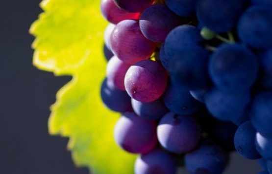 Stresten uzaklaştıran 9 besin