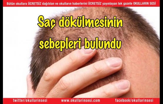 Saç dökülmesinin sebepleri bulundu
