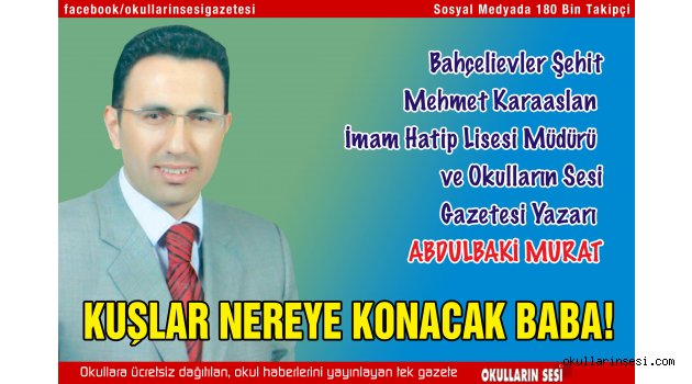 Eğitimci - Yazar Abdulbaki Murat: KUŞLAR NEREYE KONACAK BABA!